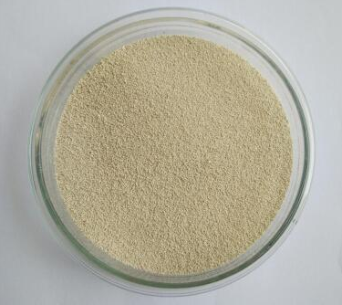 5f97cd387a3e2.png 釀酒酵母.png