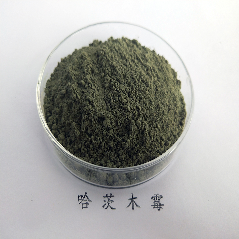 5fd970de765c3.jpg 5fd970de765c3.jpg